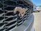 2026 Ford Mustang EcoBoost Fastback