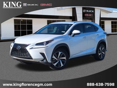 2019 Lexus NX 300 F SPORT