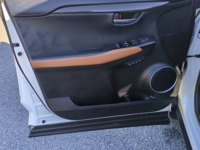 2019 Lexus NX 300 F SPORT