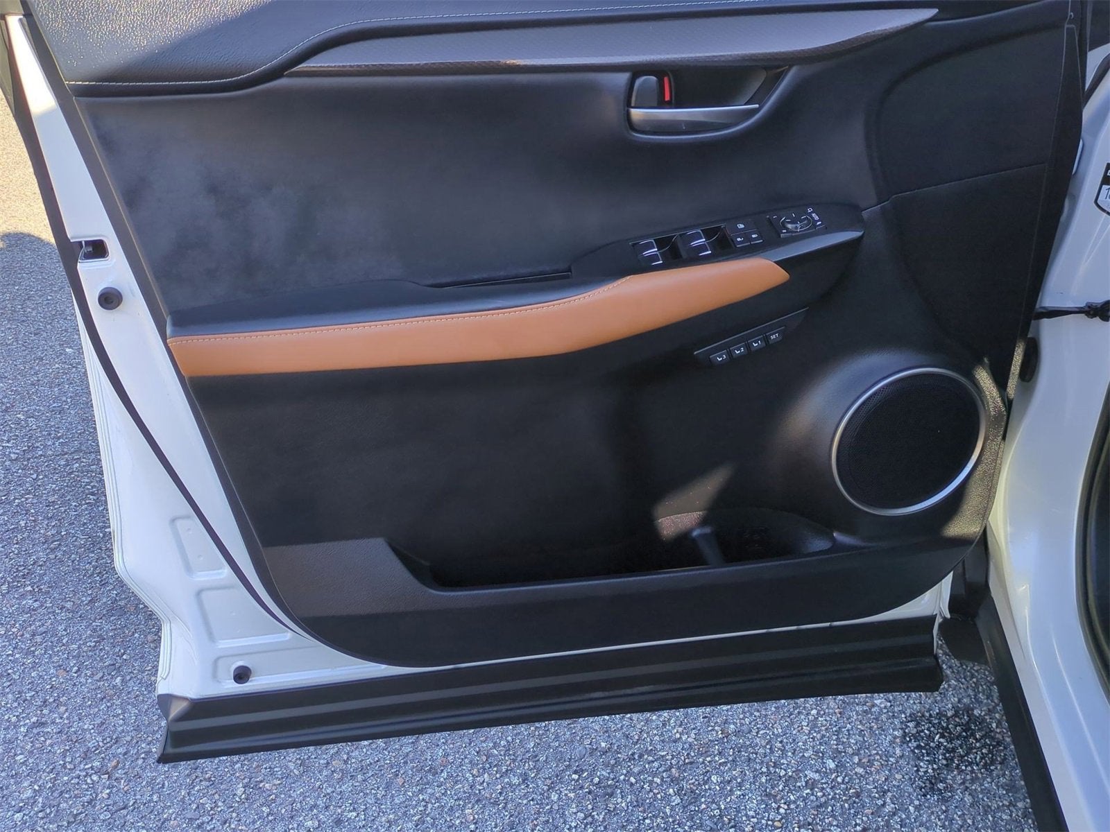 2019 Lexus NX 300 F SPORT