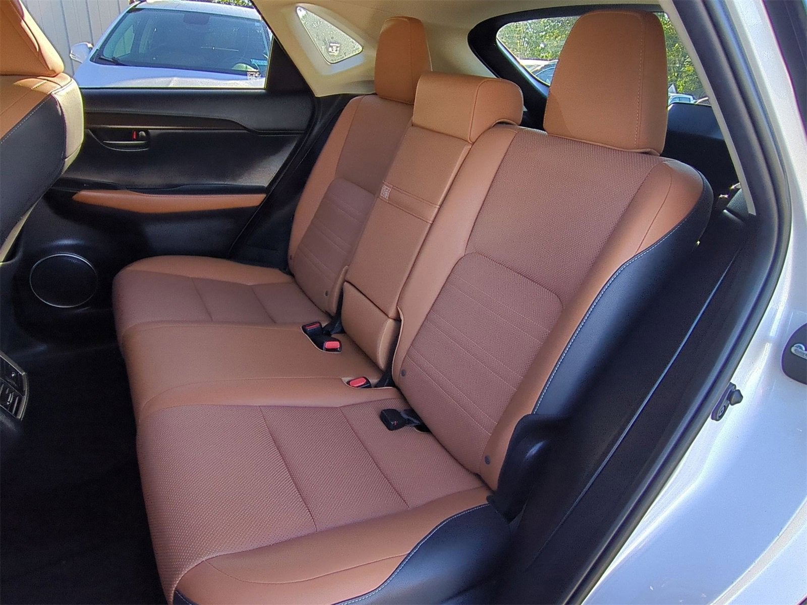 2019 Lexus NX 300 F SPORT