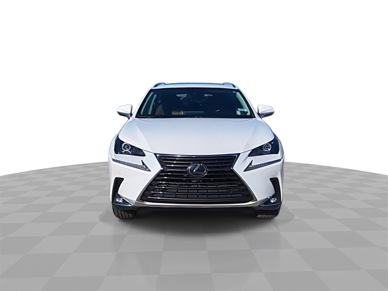 2019 Lexus NX 300 F SPORT