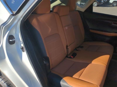 2019 Lexus NX 300 F SPORT