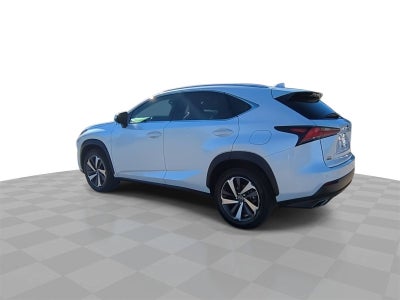2019 Lexus NX 300 F SPORT