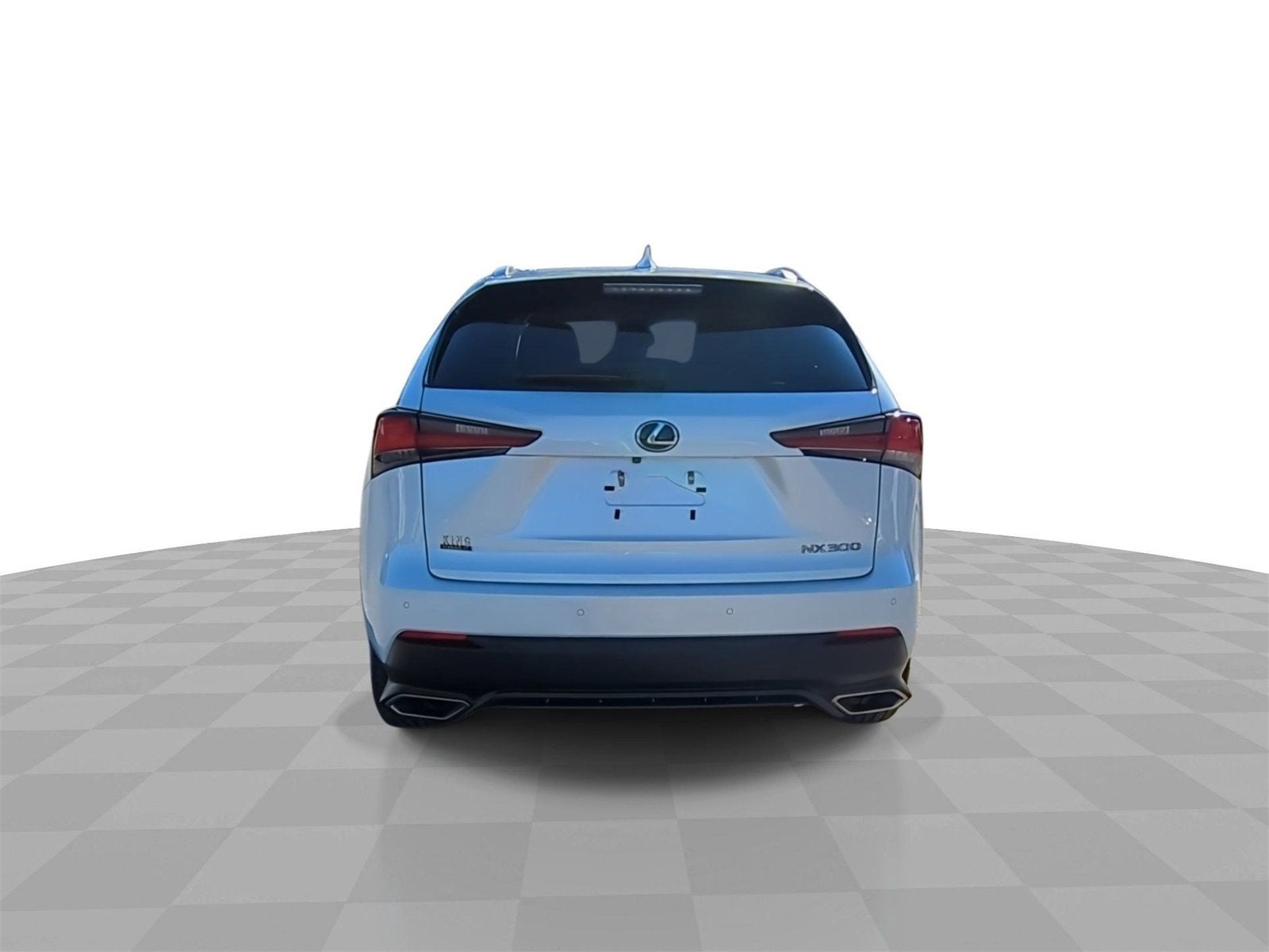 2019 Lexus NX 300 F SPORT