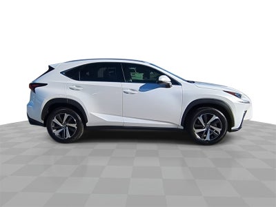 2019 Lexus NX 300 F SPORT